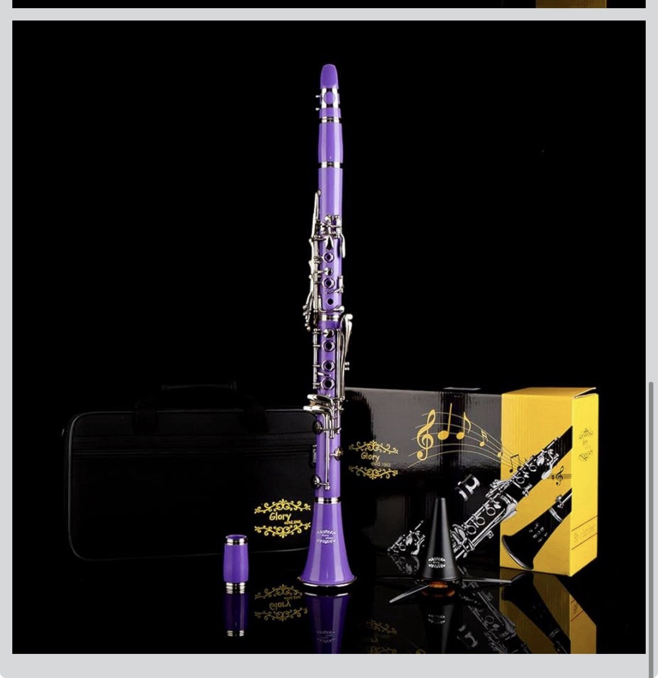 Clarinet (Bb) w/10reeds, Stand, Hard Case, Care Kit  - Purple w/Silver Keys6