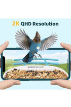 TUC Comedero Inteligente para Pájaros con Cámara+Panel Solar Tarjeta SD 64g.20242