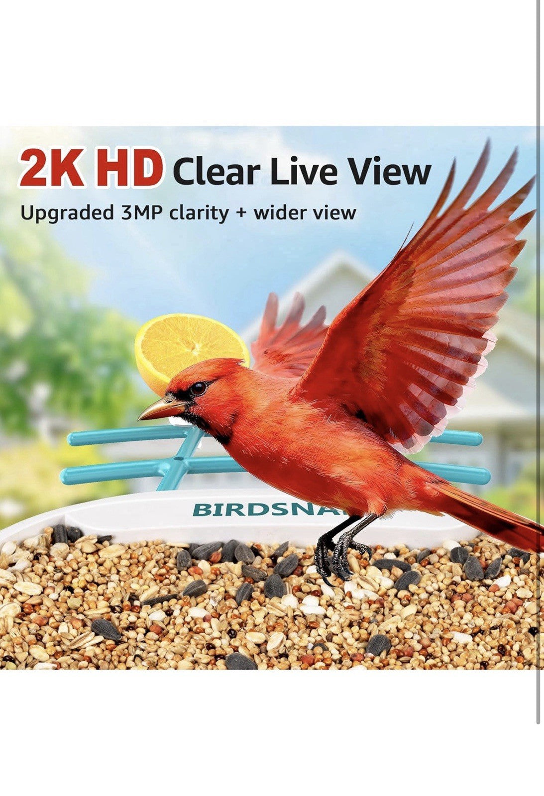  TUC Bird Feeder with Camera 2K HD, Solar Panel 32GB Card 4-in-1 Perch, 160°...2
