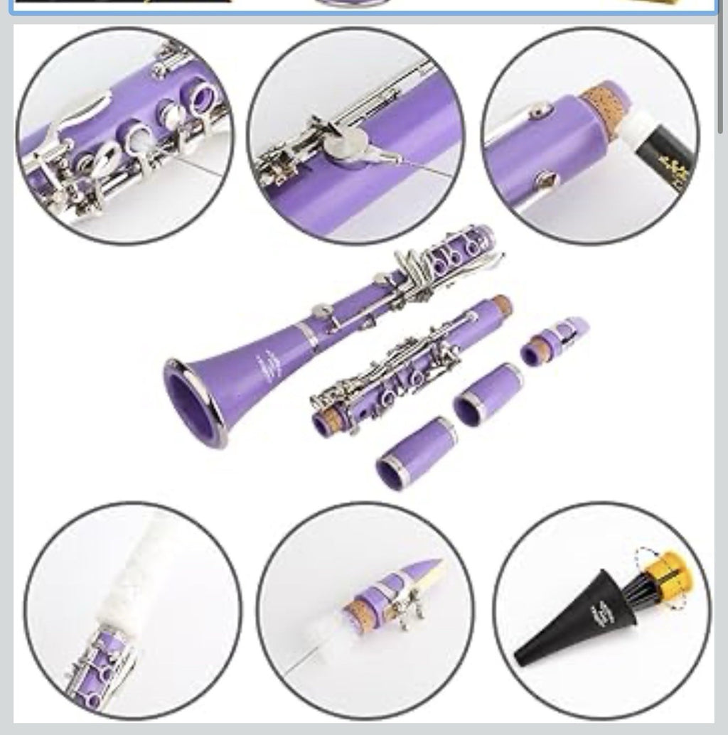 Clarinet (Bb) w/10reeds, Stand, Hard Case, Care Kit  - Purple w/Silver Keys1