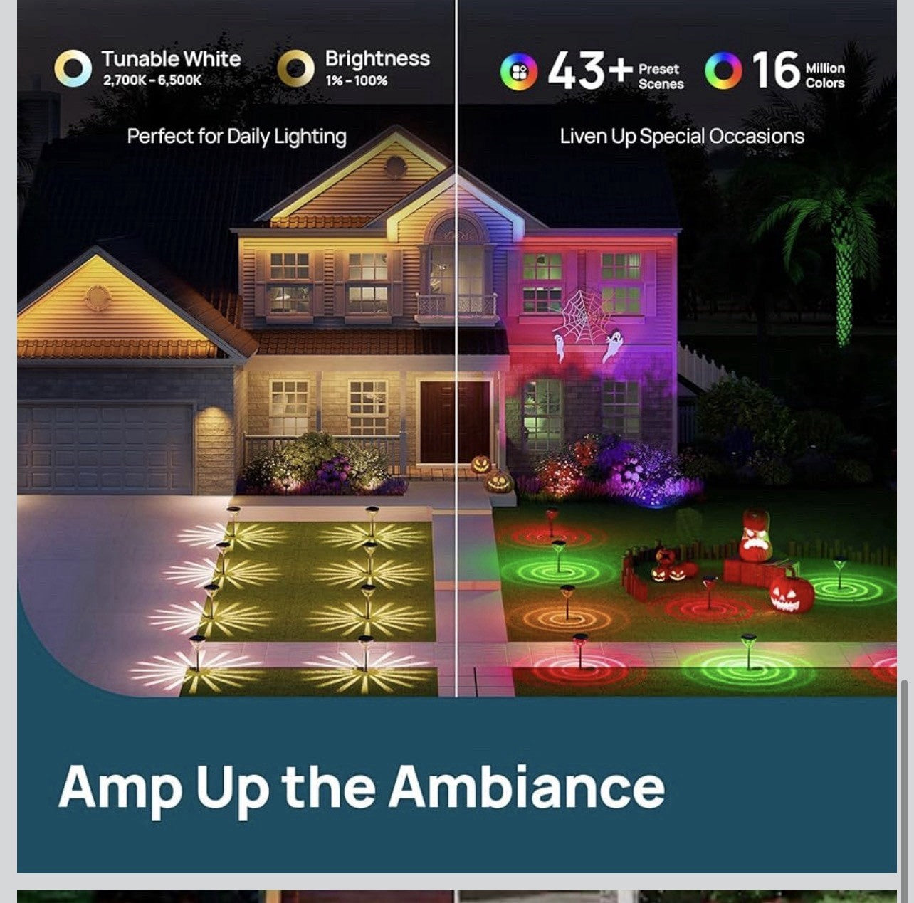 Smart Solar Pathway Lights SP6, In-App Pattern Switching Solar Lights Outdoor, U5
