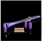Clarinet (Bb) w/10reeds, Stand, Hard Case, Care Kit  - Purple w/Silver Keys2