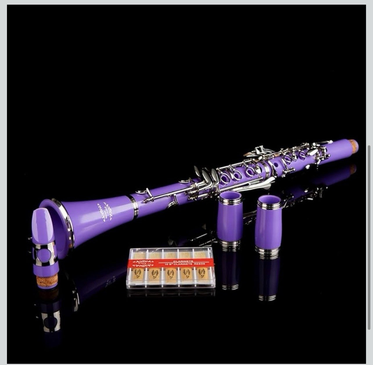 Clarinet (Bb) w/10reeds, Stand, Hard Case, Care Kit  - Purple w/Silver Keys2