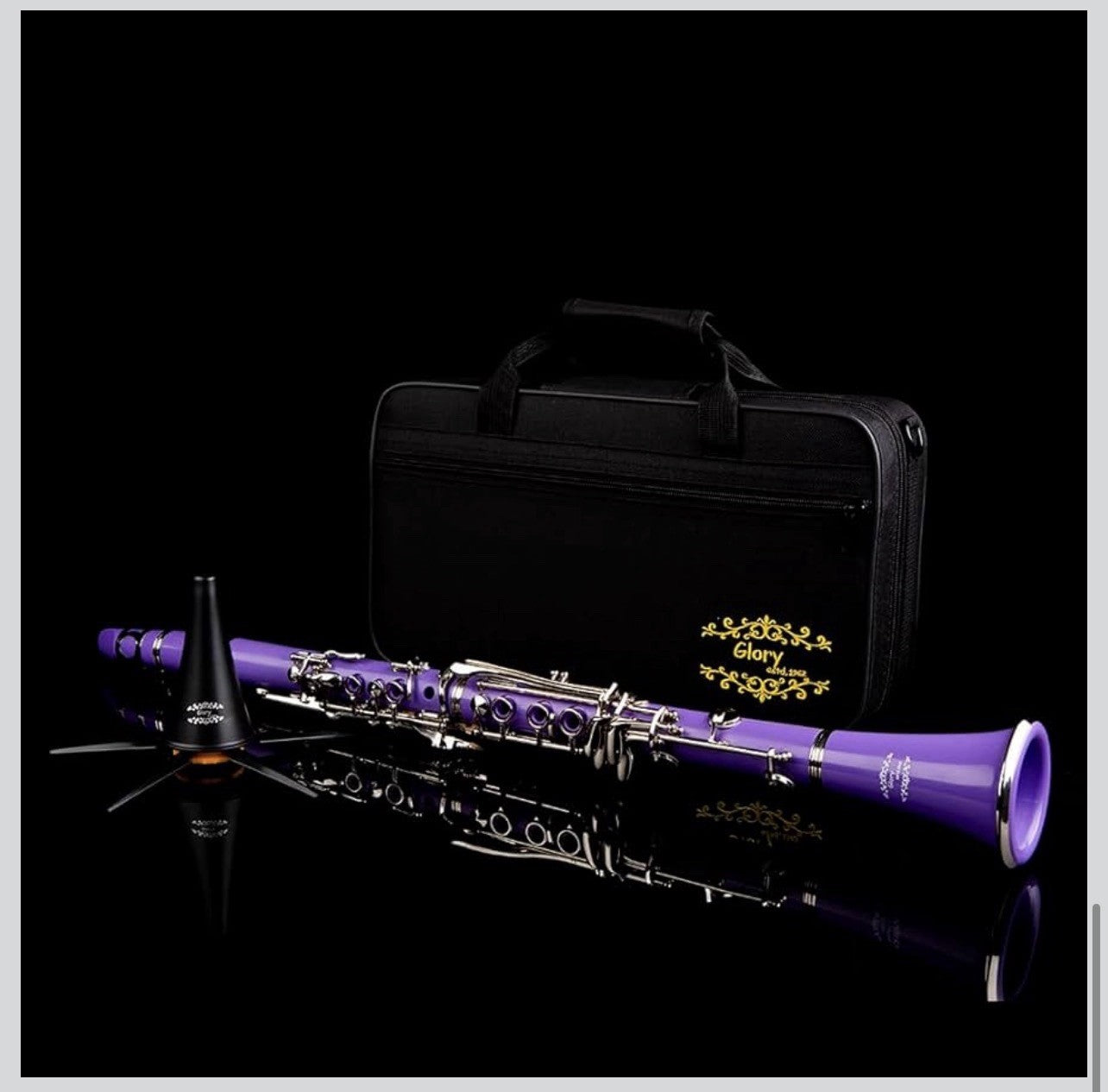 Clarinet (Bb) w/10reeds, Stand, Hard Case, Care Kit  - Purple w/Silver Keys4
