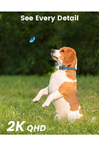 Seguirte Camera Solar6