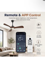 42 Inch Quiet Ceiling Fan with Light, Pure Reversible DC Motor, ABS6