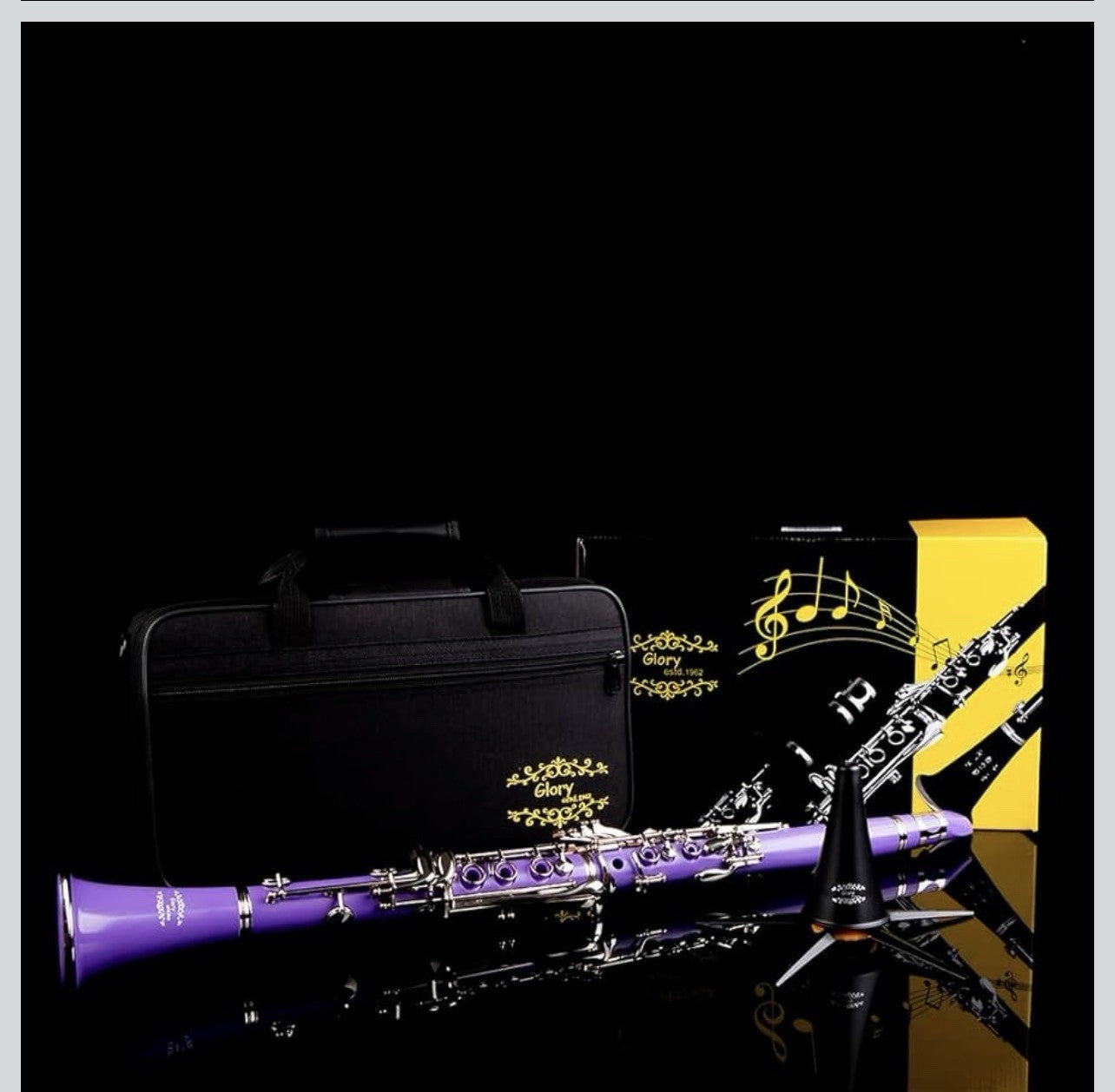 Clarinet (Bb) w/10reeds, Stand, Hard Case, Care Kit  - Purple w/Silver Keys5