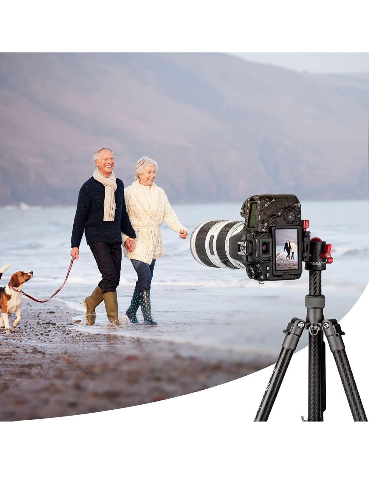 SmallRig Cabezal de bola de trípode, cabezal de bola panorámico giratorio de 3606