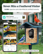 BIRDSFAVE Bird Feeder with Camera Solar Powered, 2K Live Arrival Alert Auto Capture Video with 32GB TF Card, AI Identify Smart Camera Bird Feeder Ourdoor...