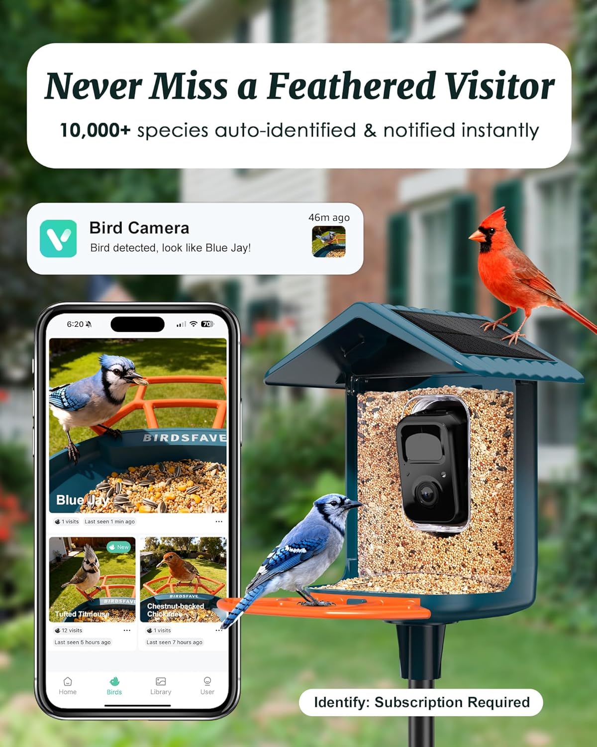 BIRDSFAVE Bird Feeder with Camera Solar Powered, 2K Live Arrival Alert Auto Capture Video with 32GB TF Card, AI Identify Smart Camera Bird Feeder Ourdoor...